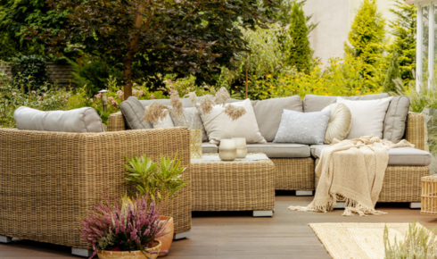 rattan for furniture