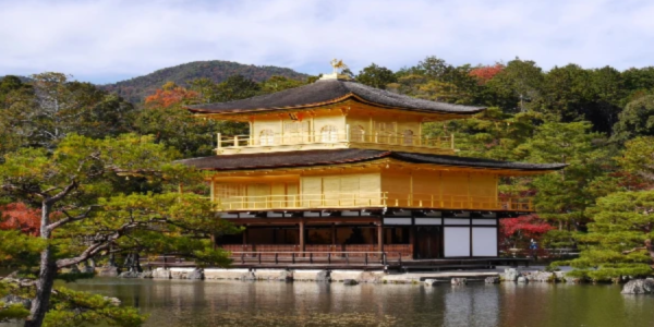 Japan Tour Packages with an Indian Chef for families and food lovers