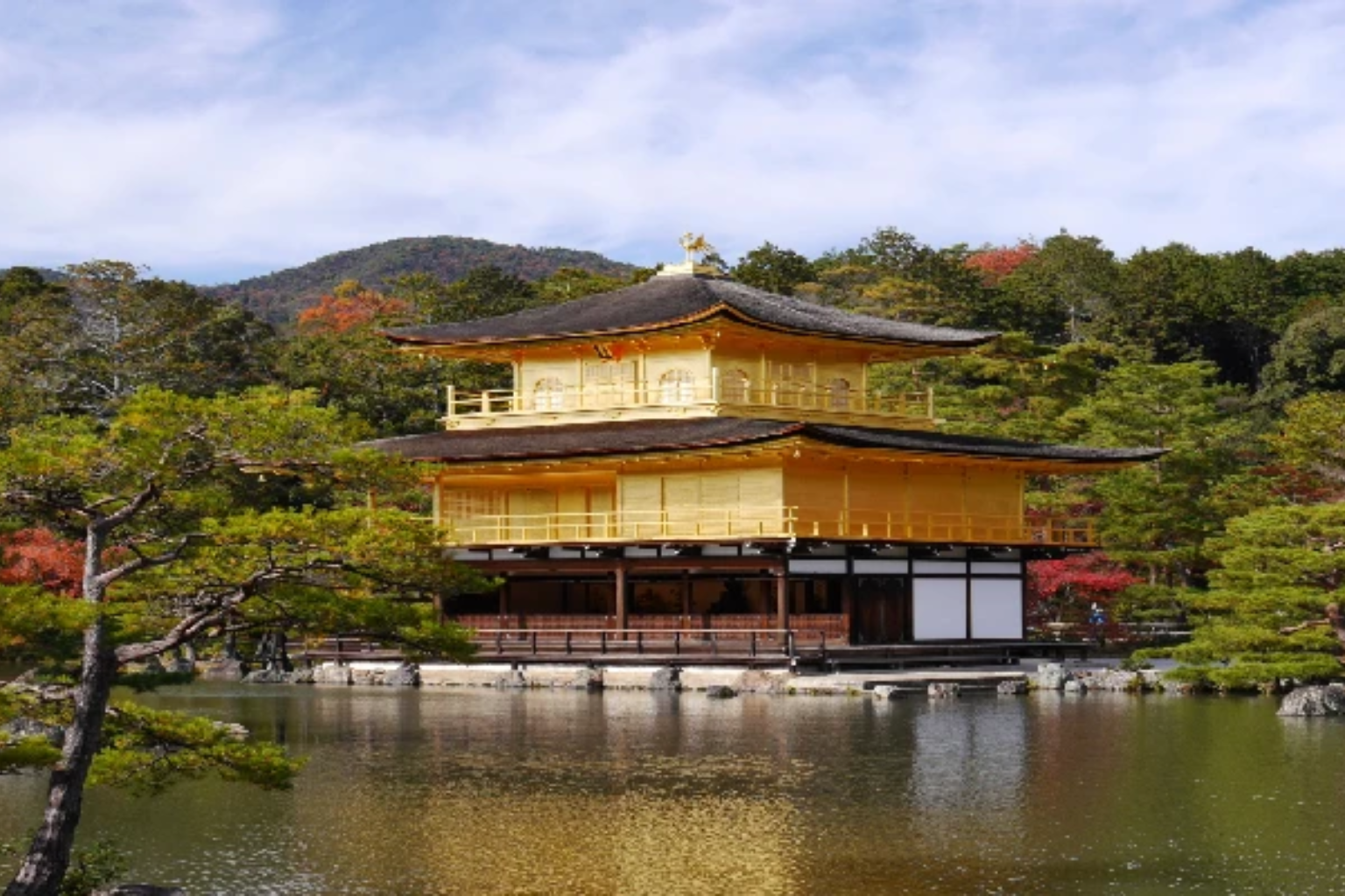 Japan Tour Packages with an Indian Chef for families and food lovers