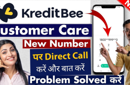 kreditbee Complant