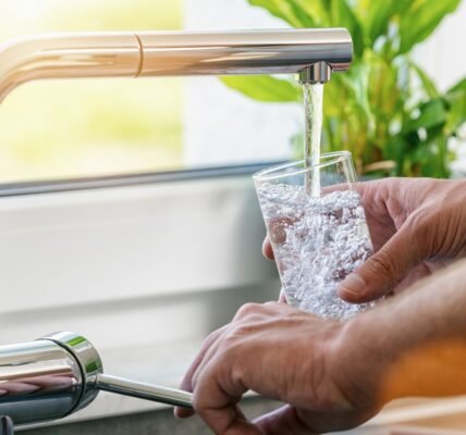 free professional home water test